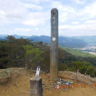 赤ぼっこ
