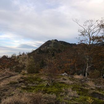 あれが笠取山⛰️