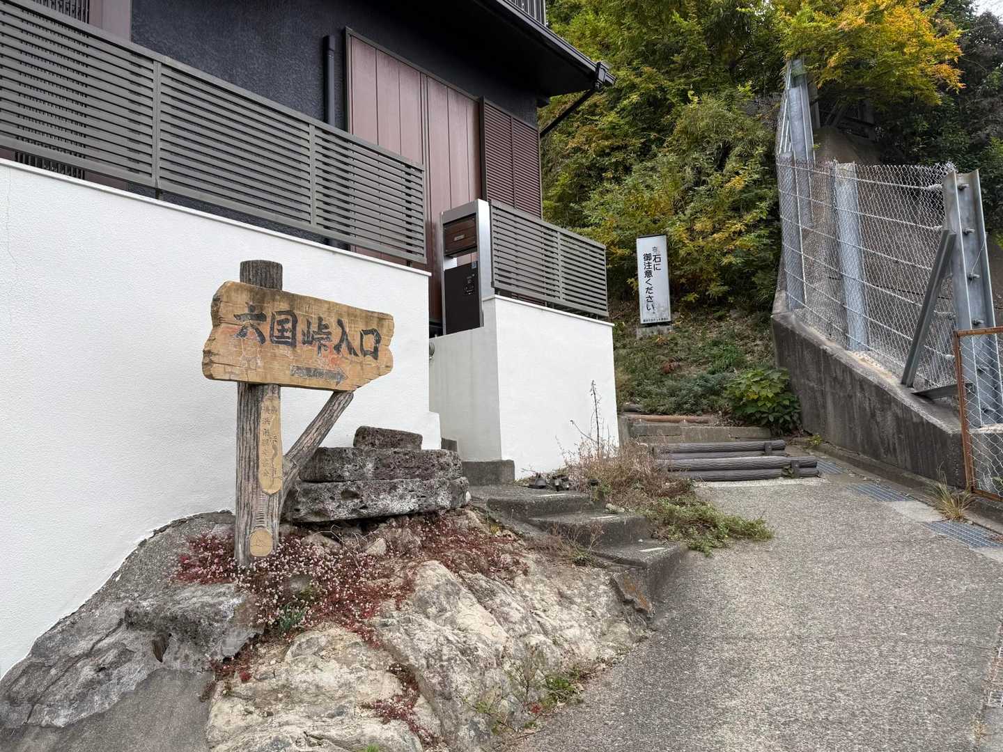 ここからトレイルへ🌳