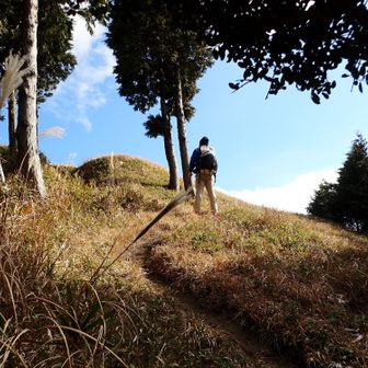 山頂直下の芝生好きですね