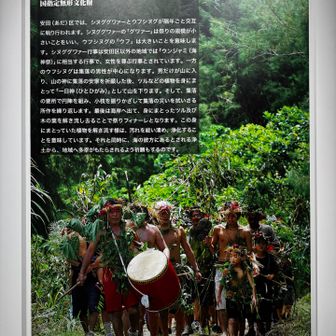 継承されているんだー