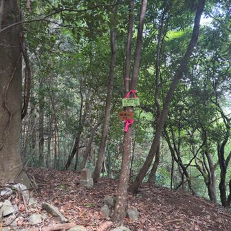 やっと山頂に到着