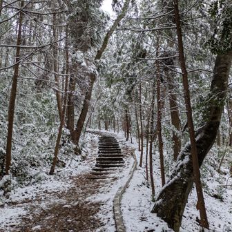 さぁ、帰宅してから来ましたョ🚗
登山道 入り口付近♫♪
ワクワク⛄