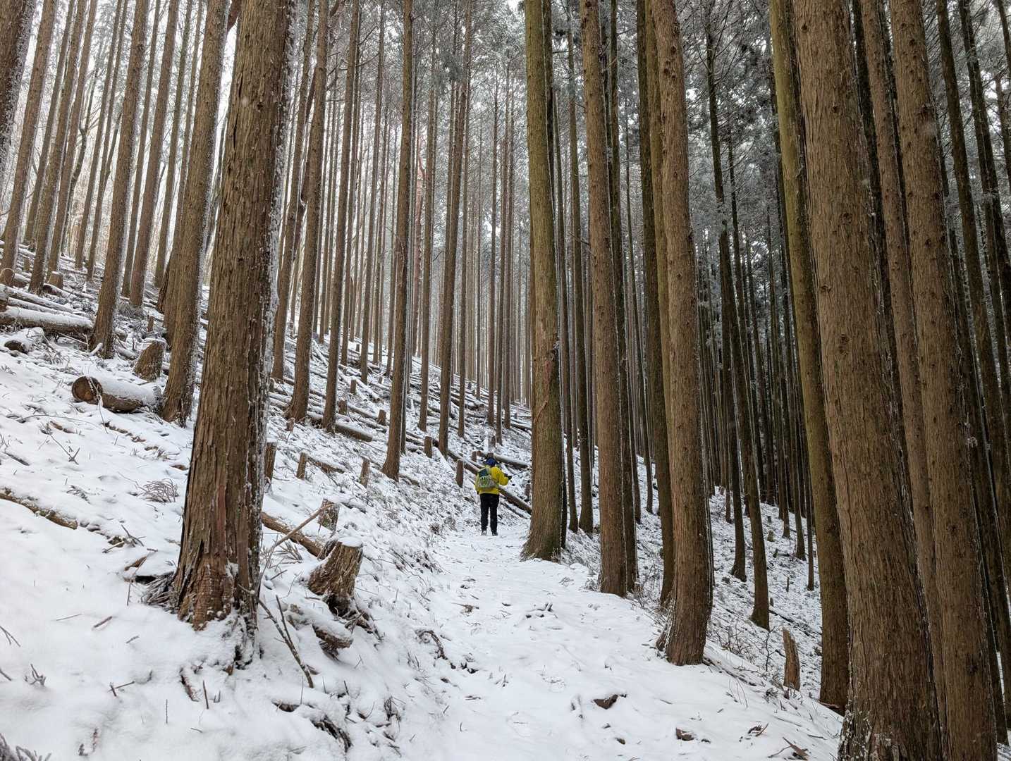 寧比曽岳 往復コースの写真