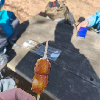 嬢にいただいた