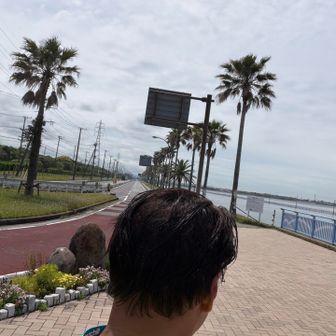 osamu