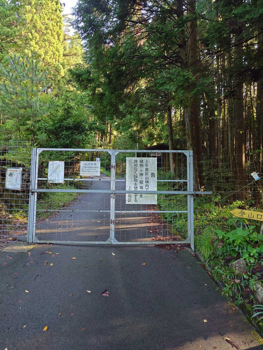 登山口へ🥾