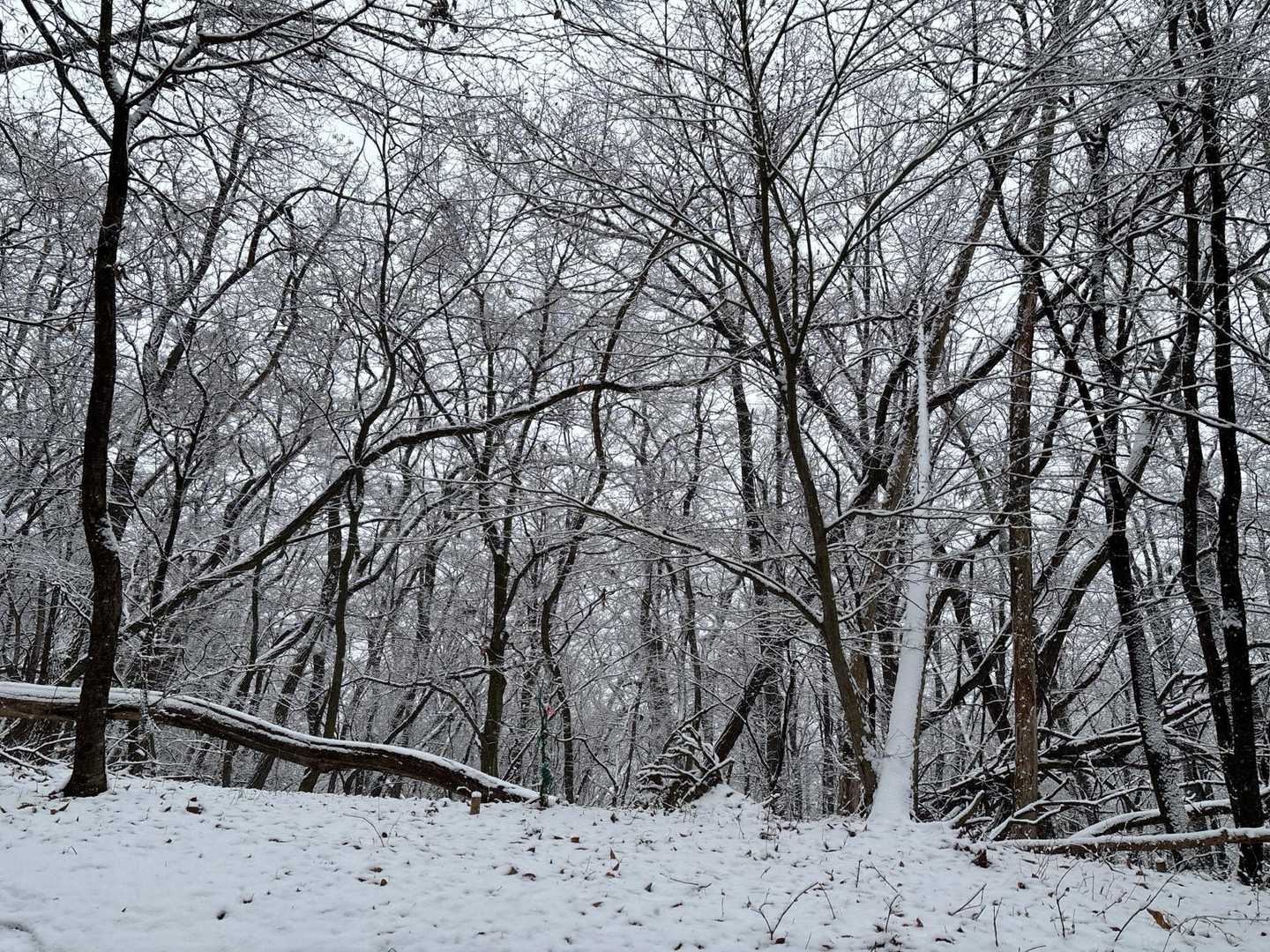 ❄️