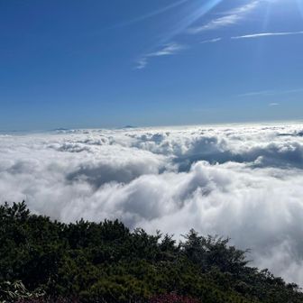 大好きな雲海