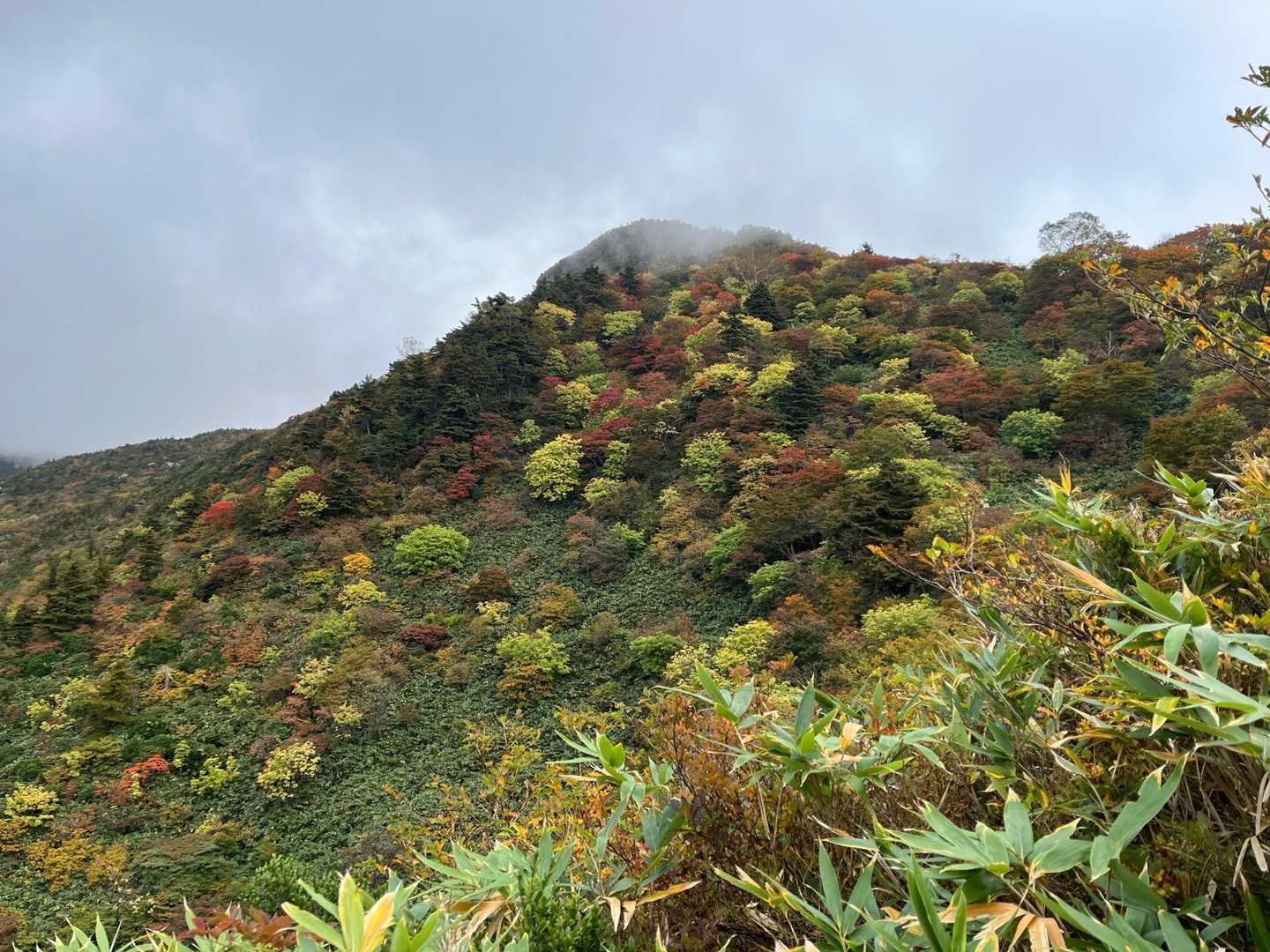 沼尻登山口-安達太良山-鉄山 周回コースの写真