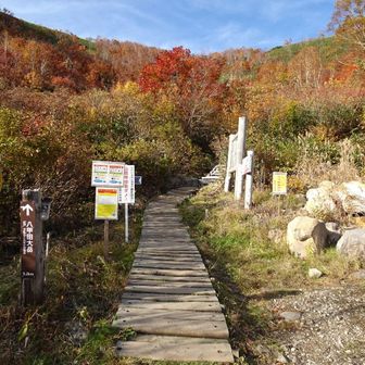 こちらから大岳を目指すのは結構長いので下りに使ったほうが良さそう