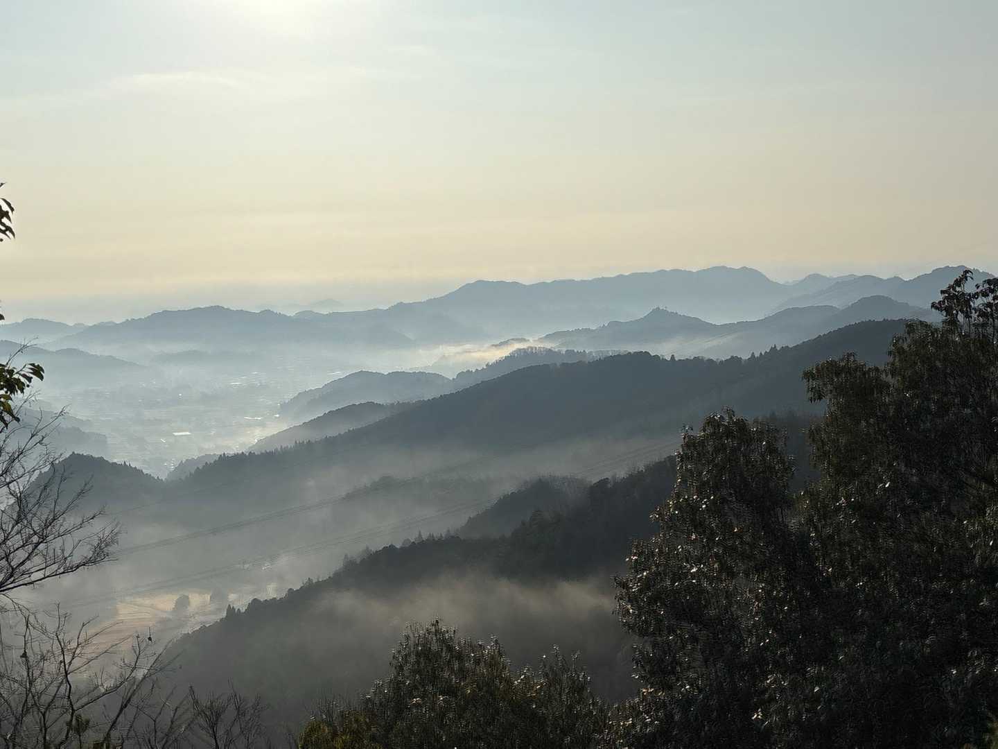 幻想的な景色だー