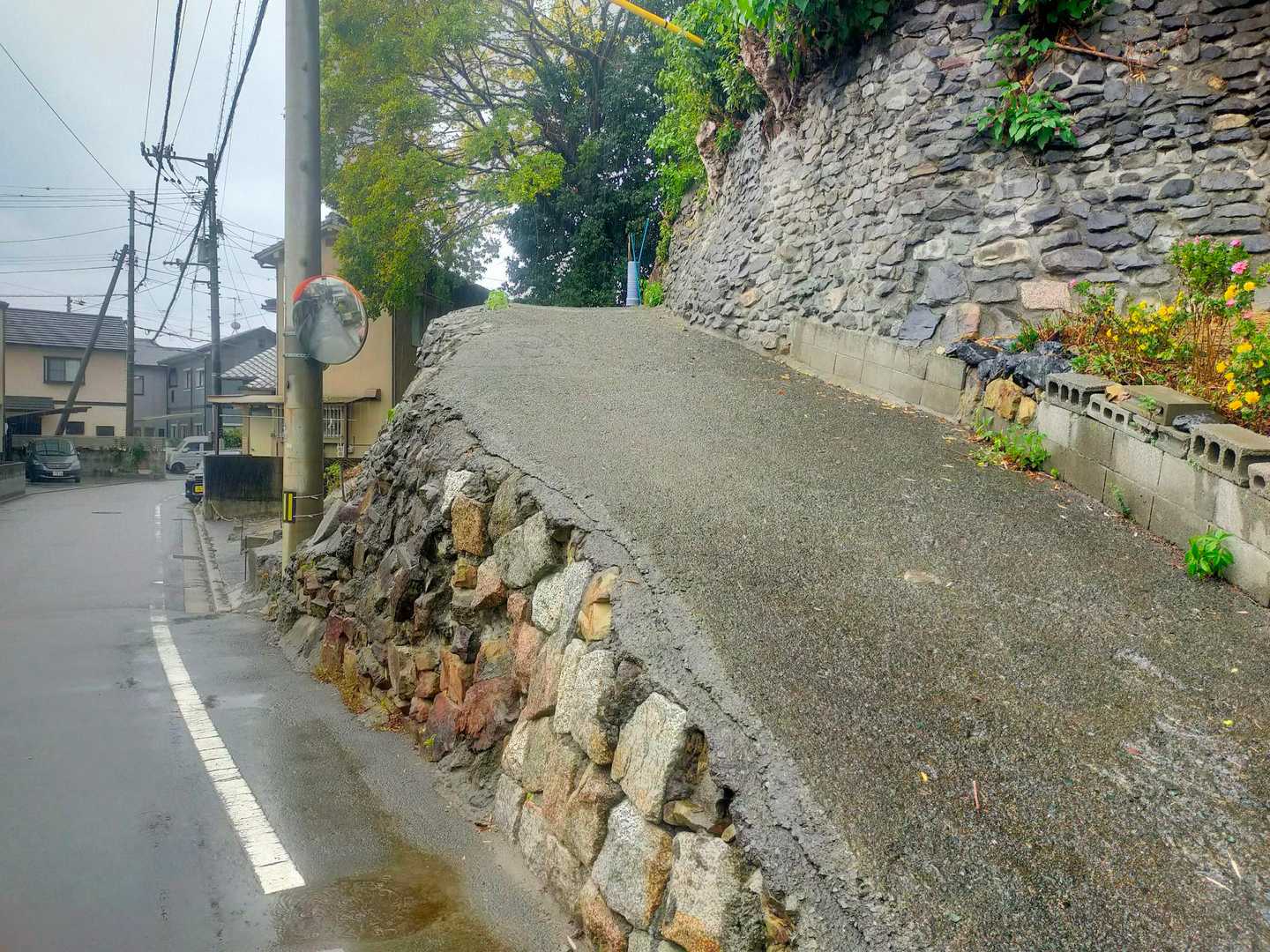 雨で暇だったので、ちょっと運動するくらいの気持ちでやって来ましたが、地元マダムとの出会いから楽しい山行になりました！
ありがとうございました。
お疲れ山。😄