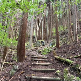 整備された登山道