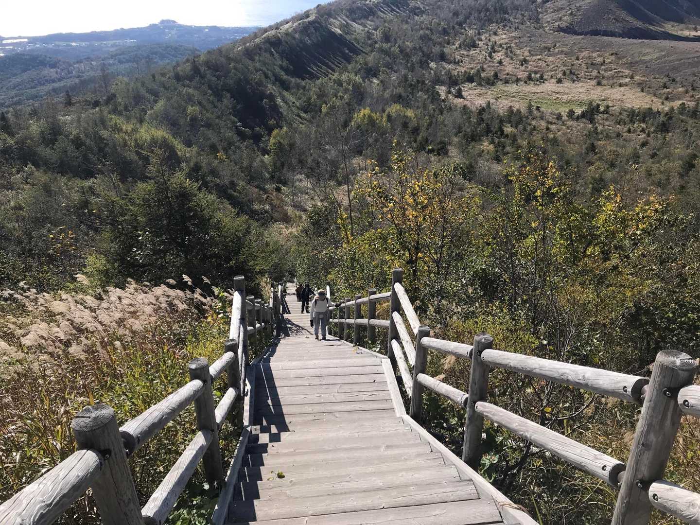 遊歩道の長い階段