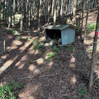 お地蔵さん見えたら、登山道終わり🙏