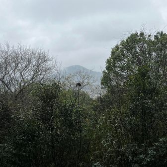 眺望はイマイチだけど、向こうに畝傍山が見える。
畝傍山、耳成山、天香具山、この大和三山をいつか歩きたい。
晴れの日にレンタサイクルを使わないとムリだね😅