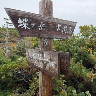 分岐に戻る。
大滝山から冷沢への尾根か、、「滝沢尾根🀄️」だな。
ウソです😅「八丁ダルミ」と呼ばれる尾根だそうです。その名前は御嶽山の剣ヶ峰から伸びる尾根にもつけられていたような、、？

今度こそ正真正銘、下山します！