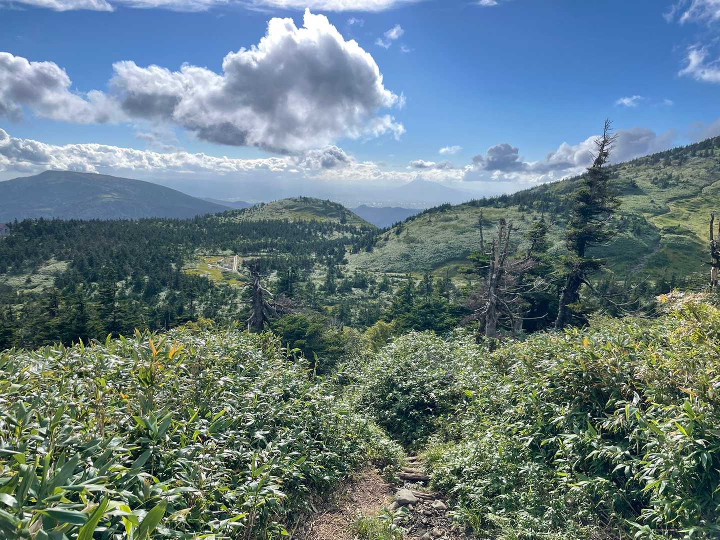 八甲田大岳登山口-小岳-高田大岳 往復コースの写真