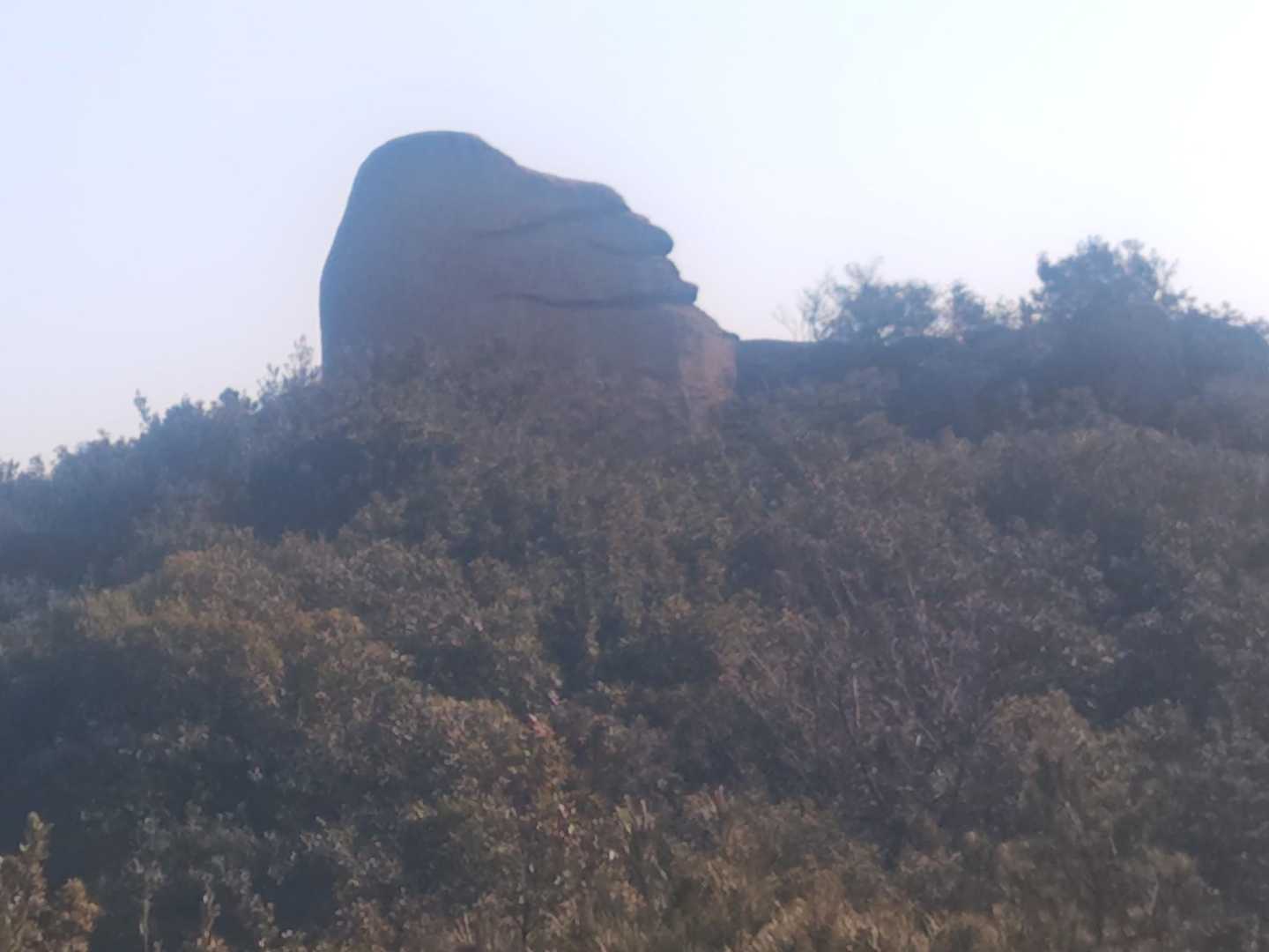 矢出山-新割山 往復コースの写真