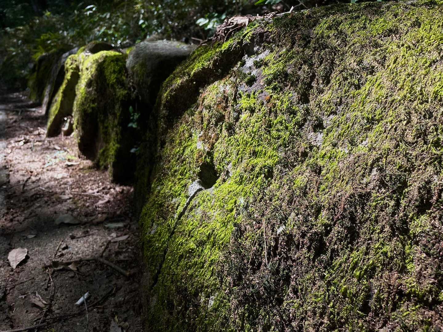 城跡。遺構。