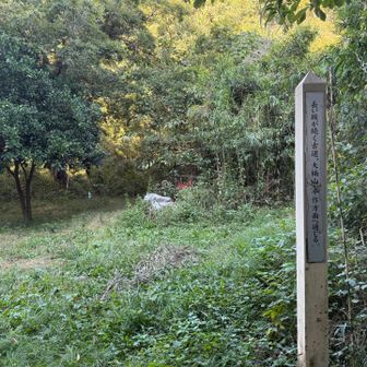 長い坂が続く古道
と書かれてます。

ここだけ、道間違えやすいです。
オレは間違えました。