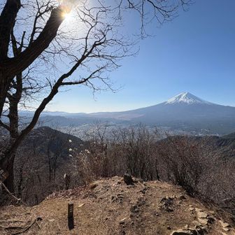 新倉山分岐の眺望🙆