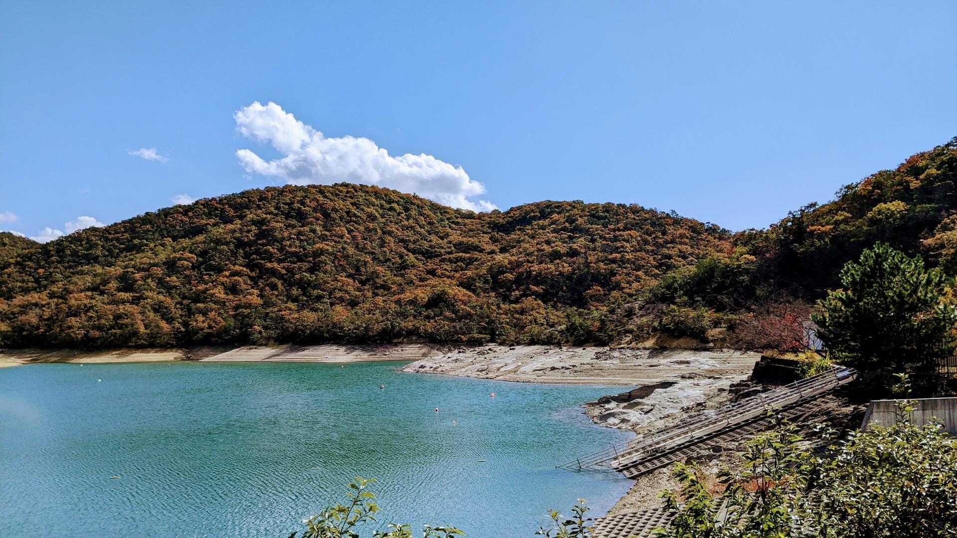 山口登山口-三草山 周回コースの写真