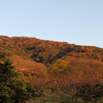 モルゲンロート②
朝日を浴び山々が綺麗ですね🌄