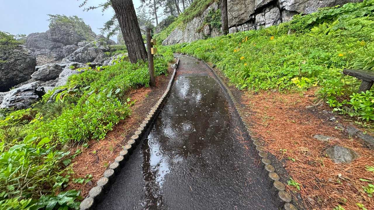 みちのく潮風トレイル（蕪島〜種差海岸）／青森遠征Day2 の写真 40