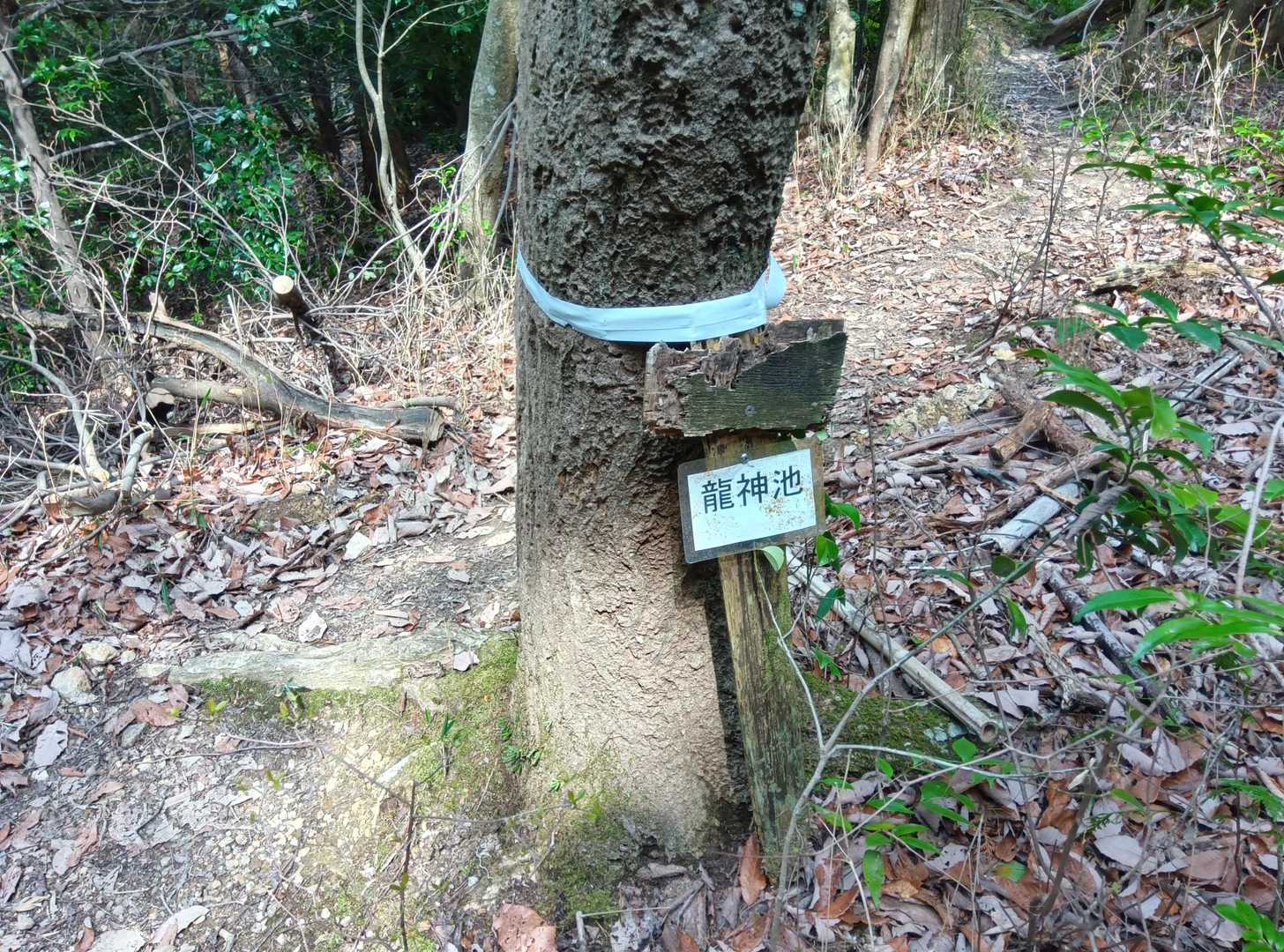 なんか気になる標識が。
