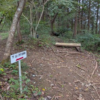 鶏足山↔焼森山の尾根に到達、さてどっちへ行くかストックで占い🔮、なんと直進しろと…