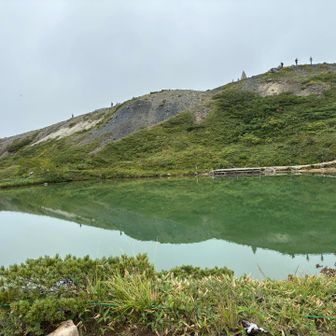 クリアブルーではない
まあ、去年は運が良すぎたのであろう