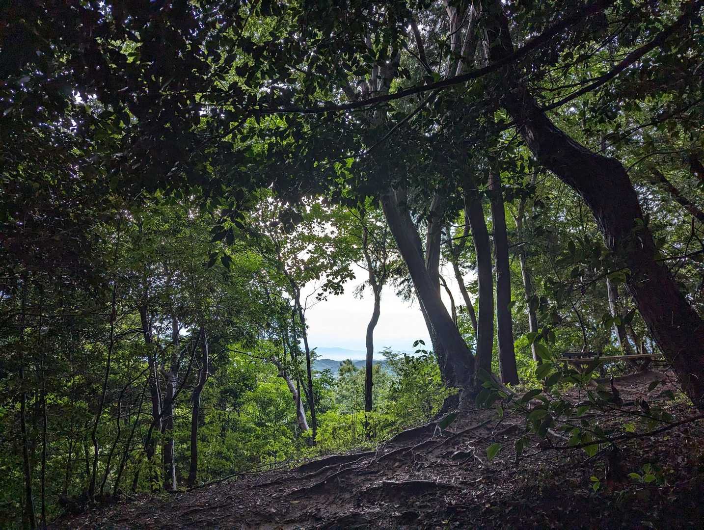 奥殿陣屋ルート登山口-村積山 往復コースの写真