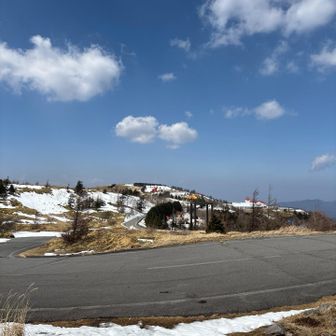 もう車道でいい