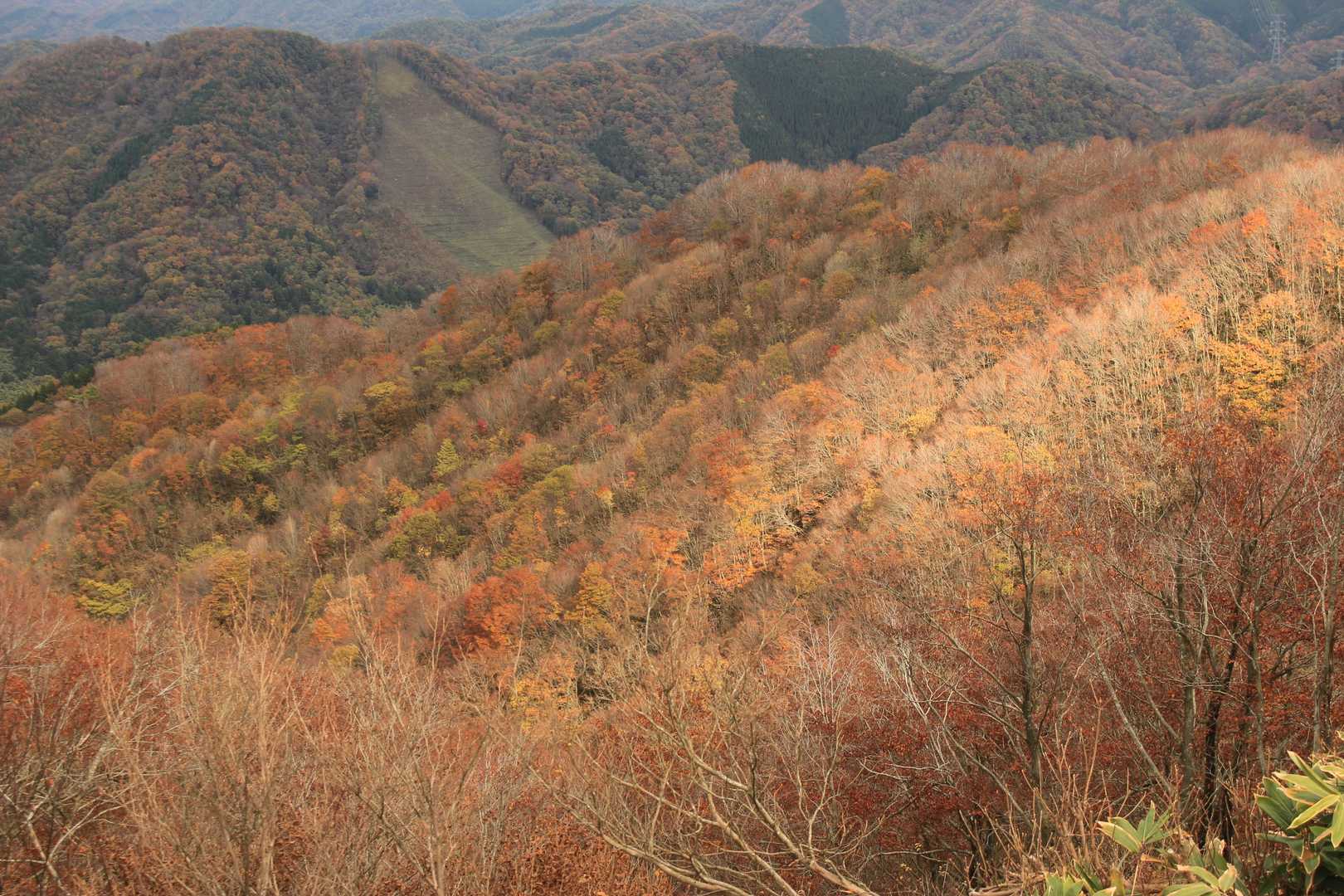 山裾がきれいに紅葉