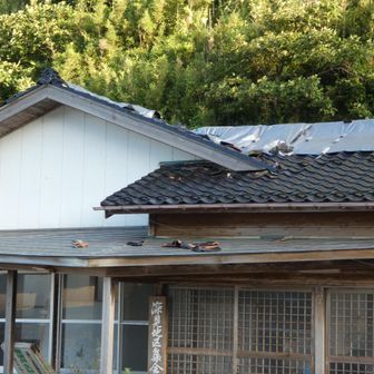 雪割草のシーズンなら協力金を渡す地区の集会所も壊れている。