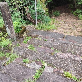 善光寺の目の前に、ここから犬山遊園駅へ行けるよって道案内がありました。ちょっとだけですが、山歩きっぽいので、きちんとした靴じゃないと歩きにくいかも。