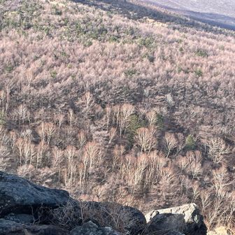 既に落葉🍂
紅葉もきっとキレイでしょう♡