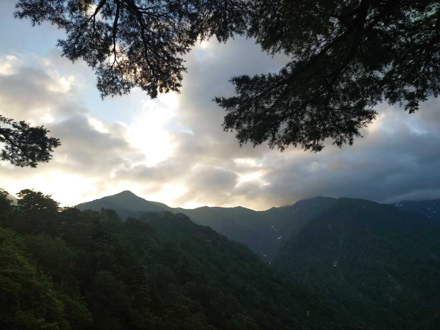 陽射しが遮られ、暑くなくて
ばか丁度いい〜(^^)