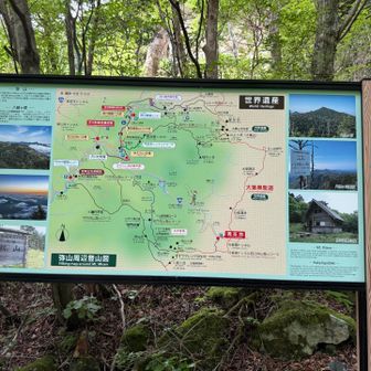 山域地図。広い。