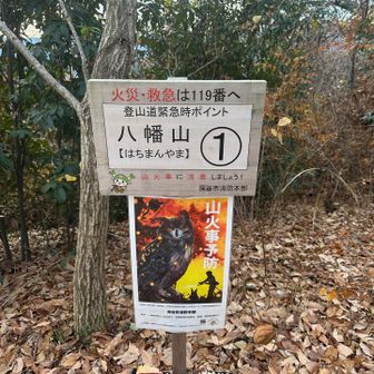 こんなピークがいくつか出てくる