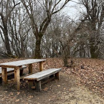梅おにぎり🍙食べました👍