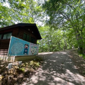 地図に登山口駐車場と表示されたのはここらしい
駐車スペース？と思うような狭い空き地はありましたが。。。