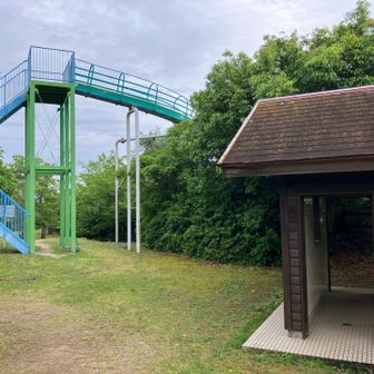 山頂の様子 滑り台の上がまた絶景なんです🛝
