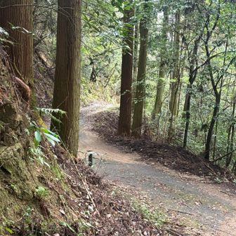 登山口まで降りて一安心