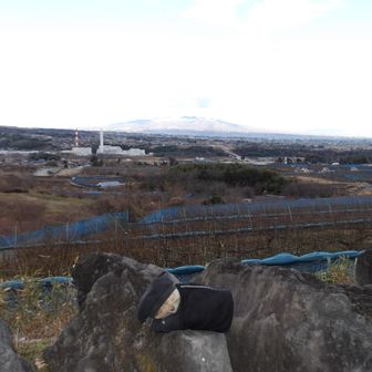 (´ฅωฅ｀)うー！٩(๑òωó๑)۶にゃー！