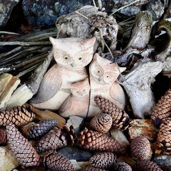 大きな松ぼっくりに囲まれて…✨