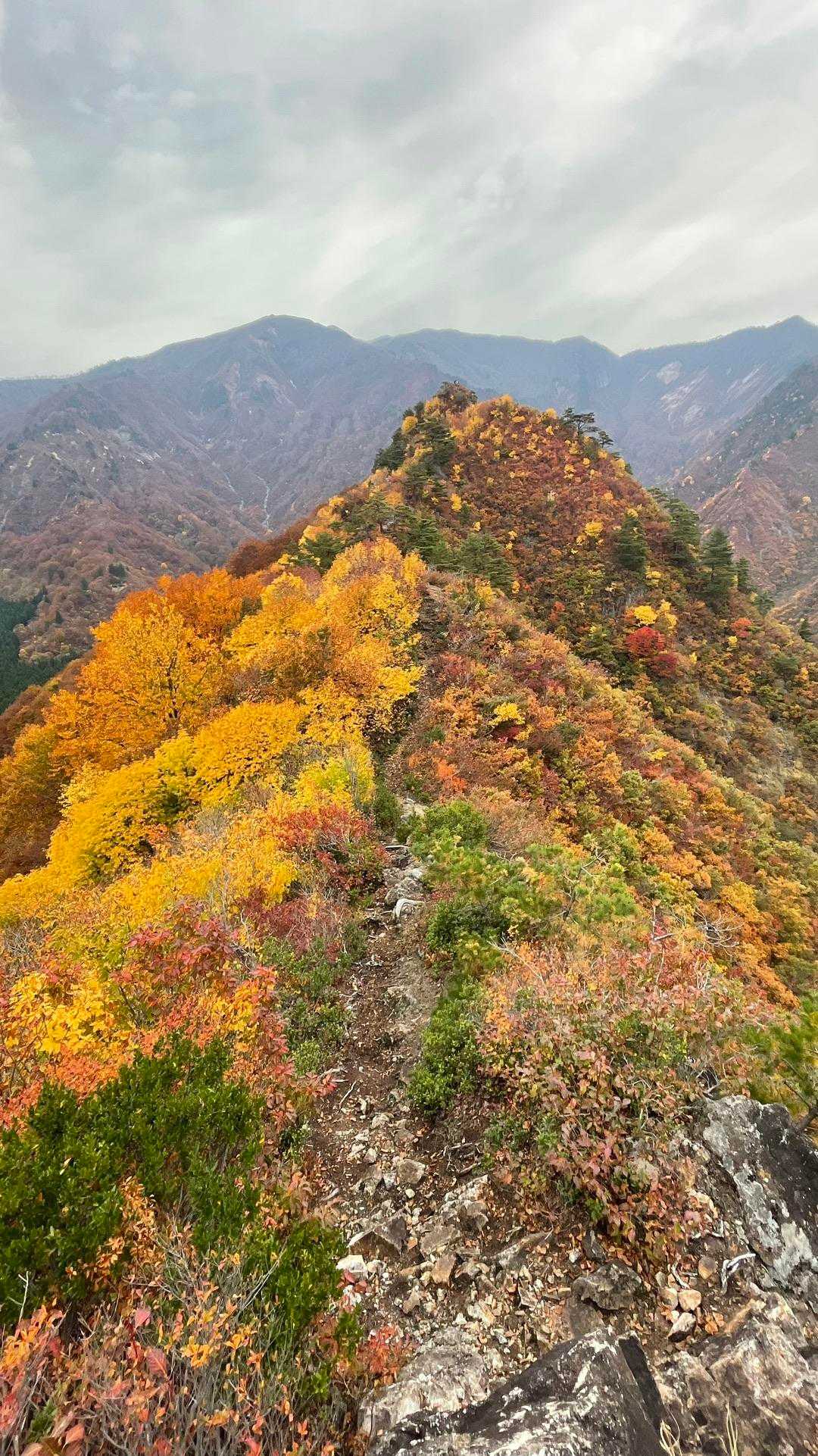 古峰山 周回コースの写真