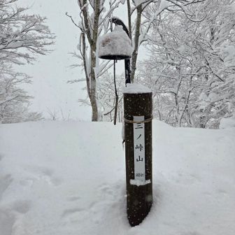 標識の上に⛄を作ろうとしたけど、雪がサラサラすぎて無理！😅